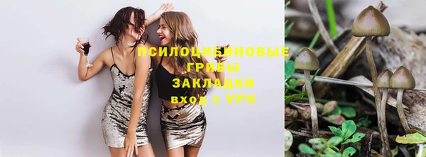 не бодяженный Верея