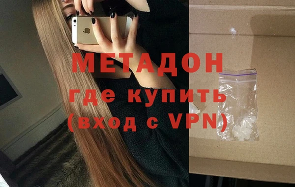 дживик Туринск
