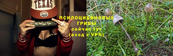 не бодяженный Верея