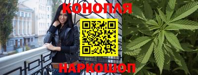 мдпв Долгопрудный