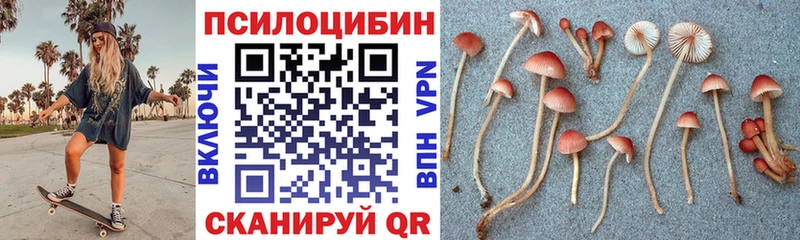 Галлюциногенные грибы прущие грибы  как найти   Выборг 