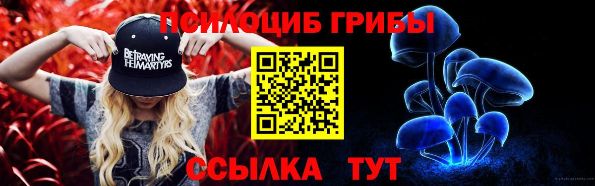 Псилоцибиновые грибы Cubensis  Вход с VPN  Выборг  Псилоцибиновые грибы прущие грибы 
